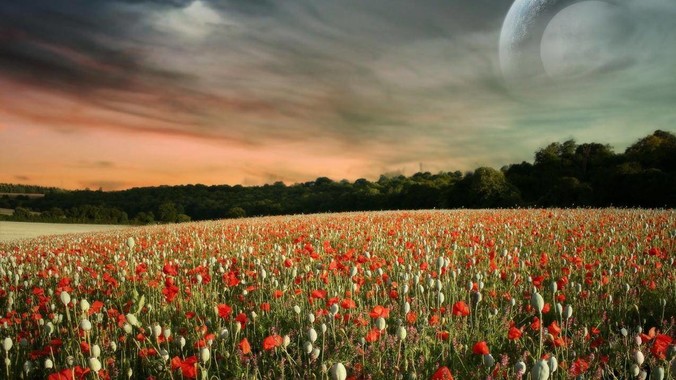 听说百度文心一言已经停止训练了，真的***的？百度这是准备放弃ai了吗？